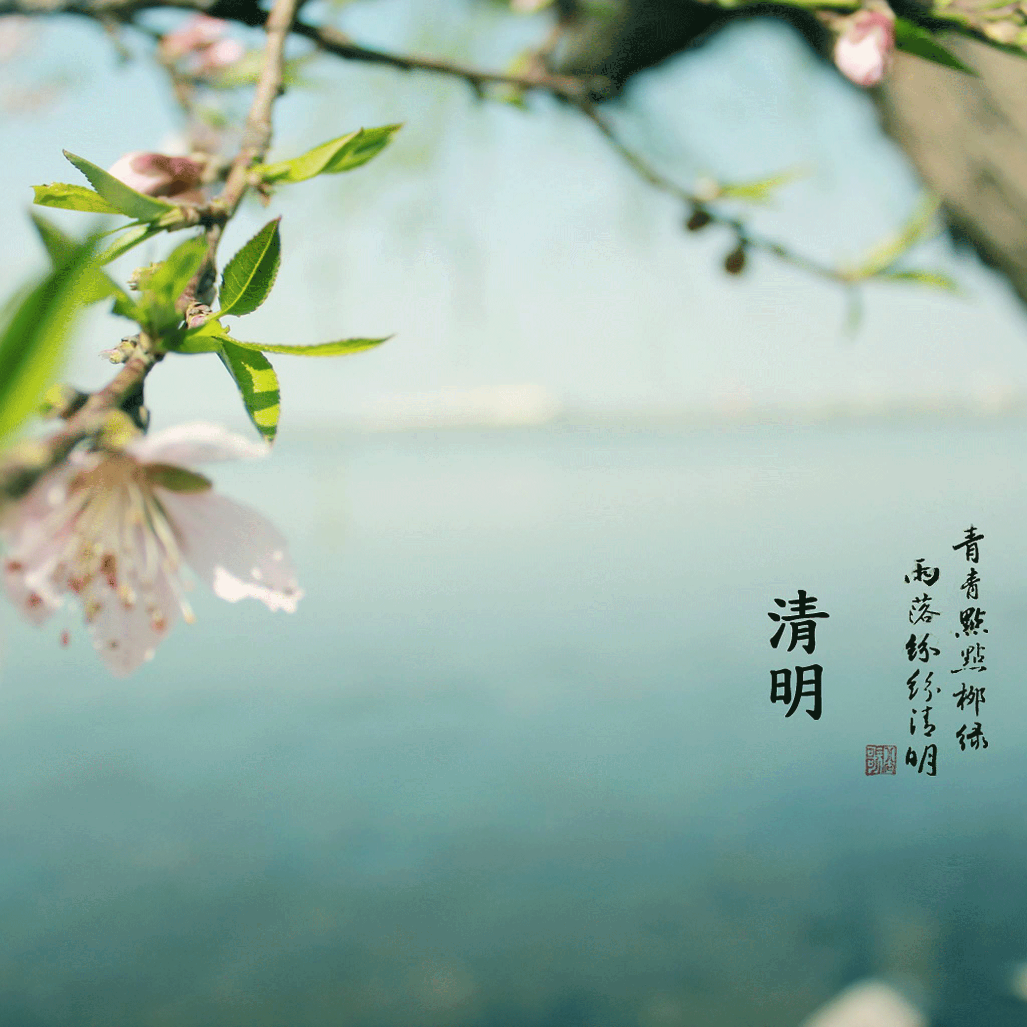 清明全攻略，?洛陽遠(yuǎn)見祝您小長假愉快！